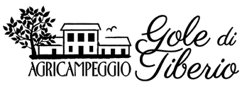 agricampeggio-logo-retina